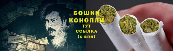 дживик Мегион