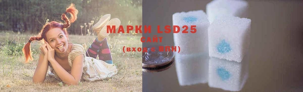 спиды Майский