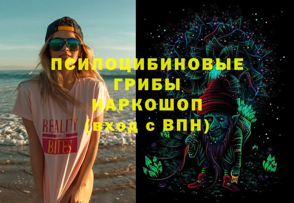 дживик Мегион