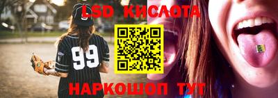 apvp Гатчина
