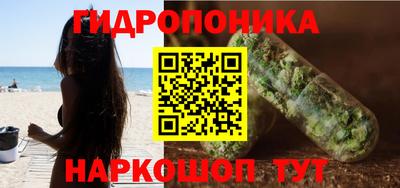 apvp Гатчина