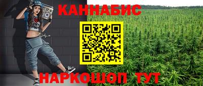 apvp Гатчина