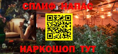 apvp Гатчина