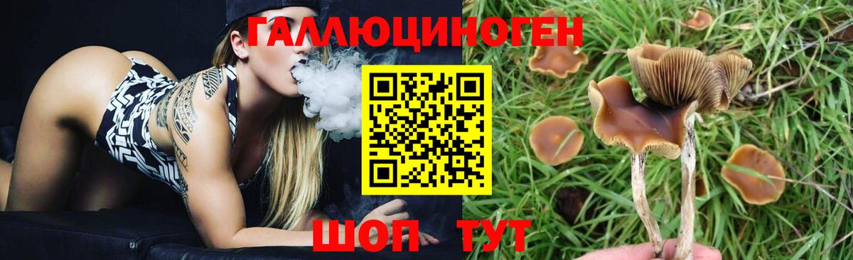Златоуст  Галлюциногенные грибы Psilocybine cubensis  Вход с VPN 